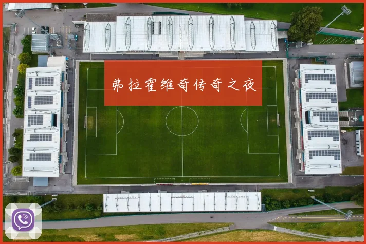 弗拉霍维奇传奇之夜