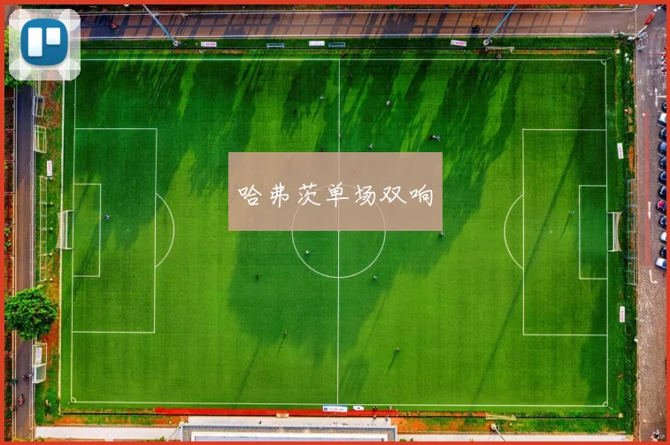 哈弗茨单场双响