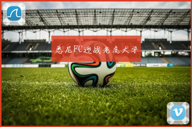 悉尼FC迎战老虎大学