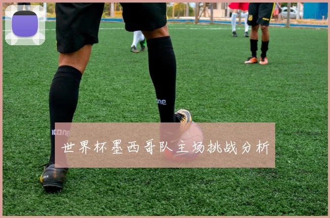 世界杯墨西哥队主场挑战分析