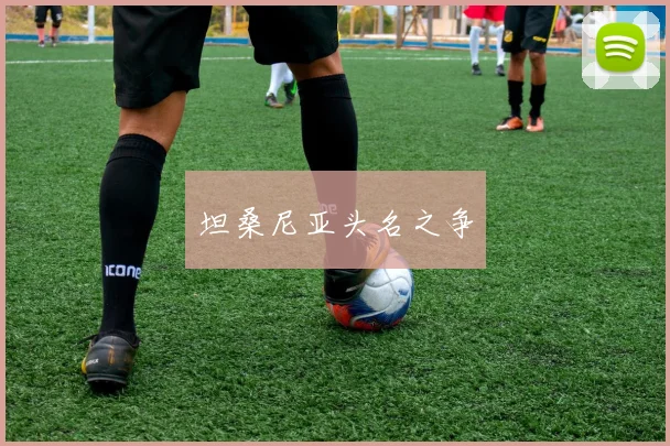 坦桑尼亚头名之争