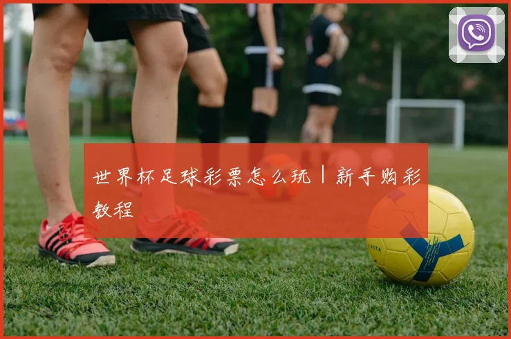 世界杯足球彩票怎么玩|新手购彩教程